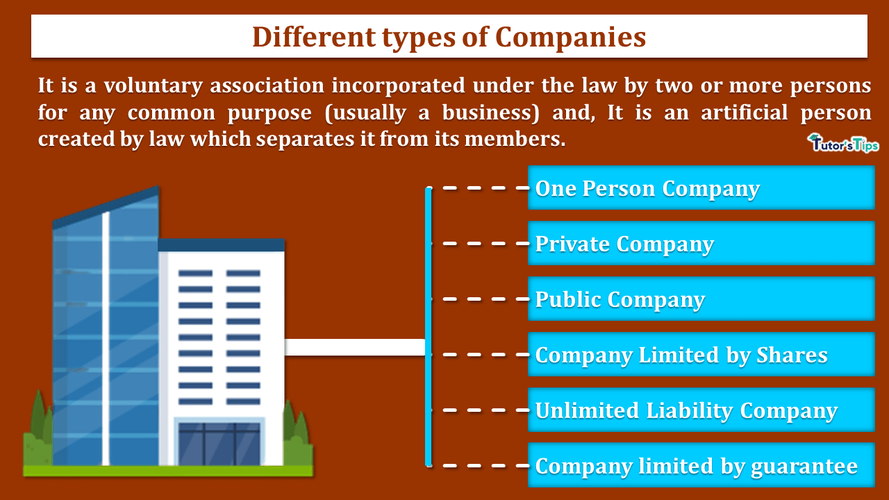 Different-Types-of-Companies