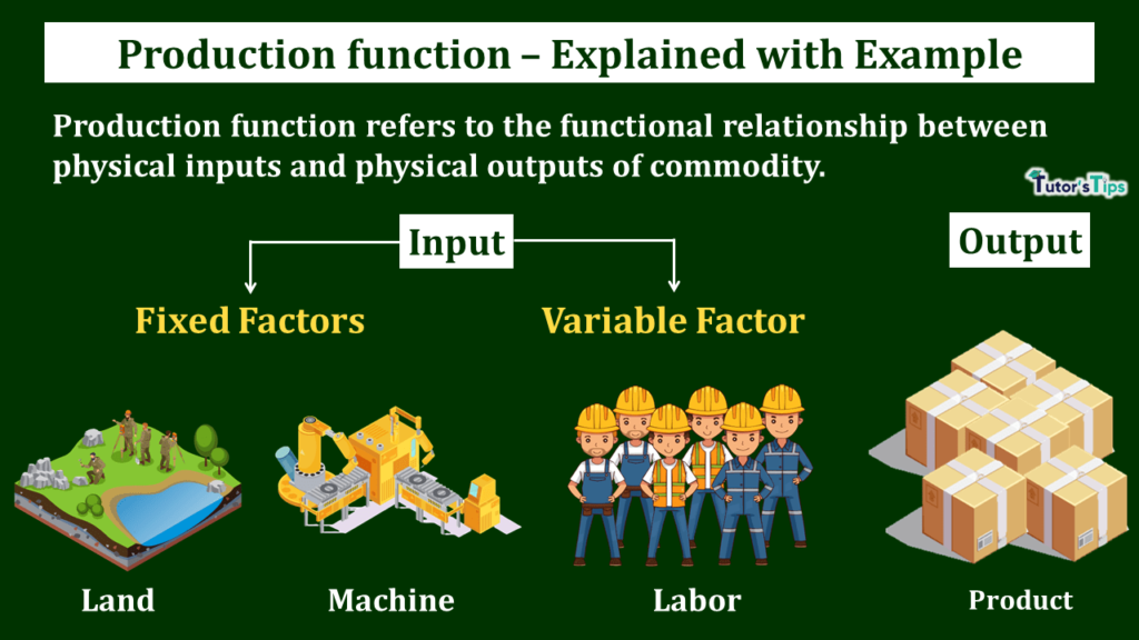 production-function-meaning-and-types-in-hindi-tutorstips-in