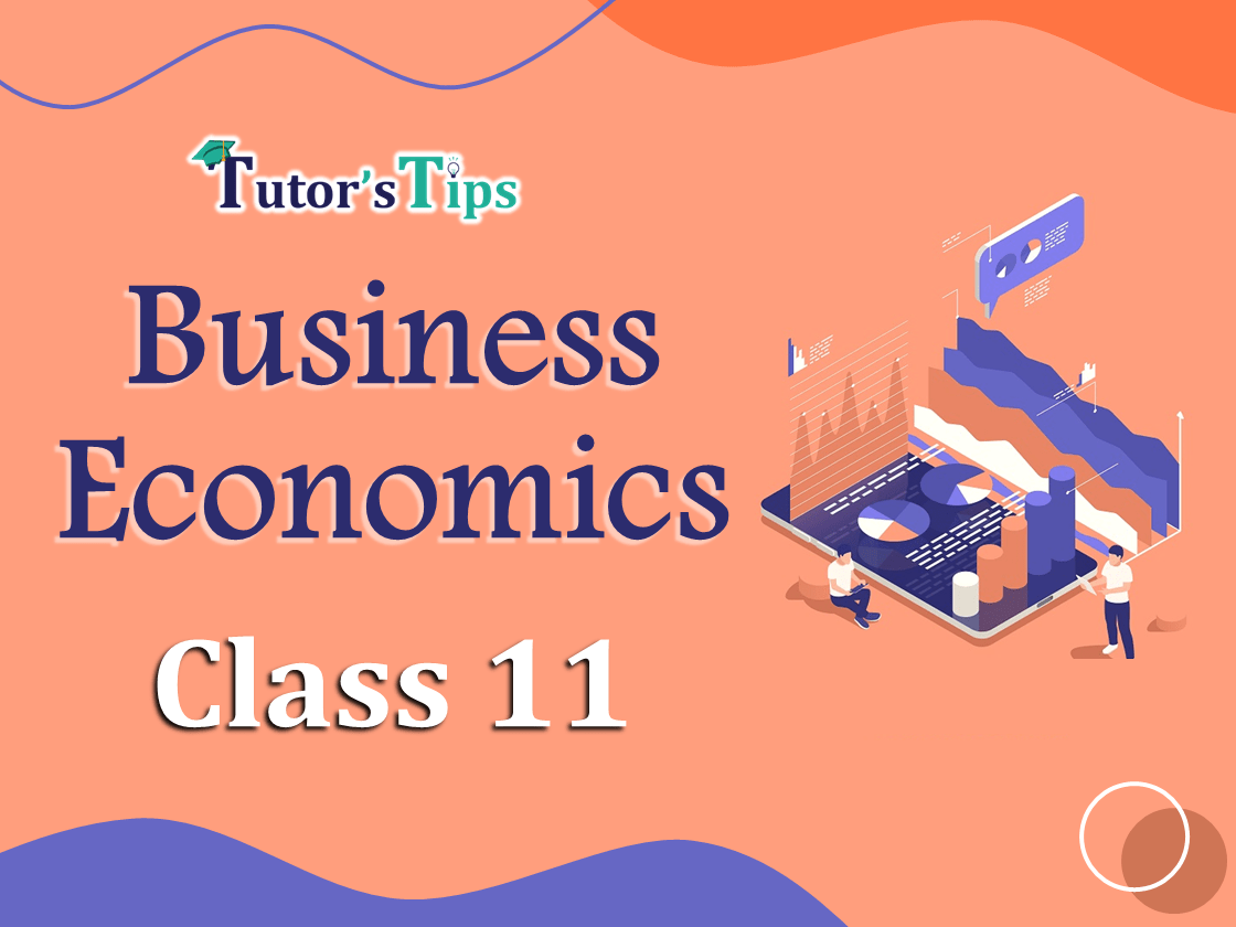 Business Economics Class 11 Tutorial-min